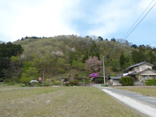 画像5